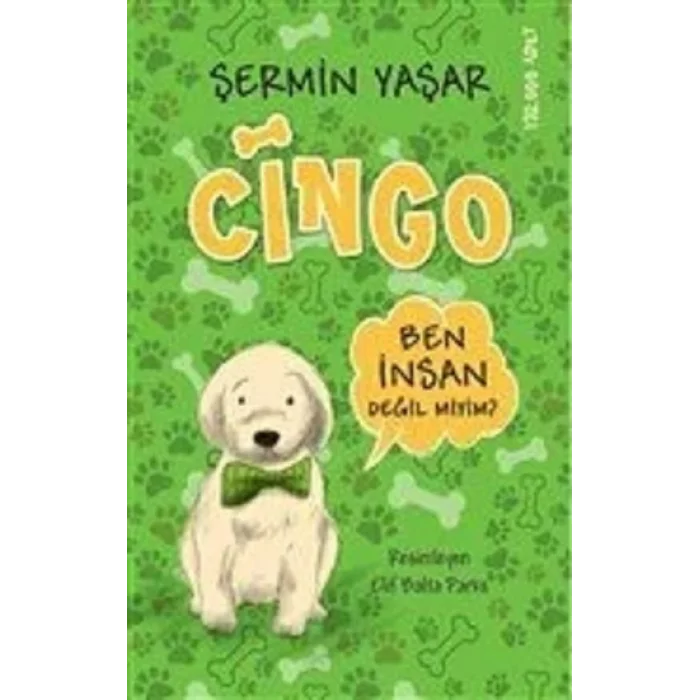 Cingo