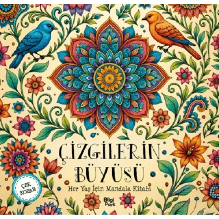 Çizgilerin Büyüsü - Her Yaş İçin Mandala