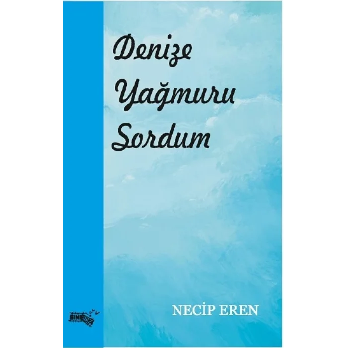 Denize Yağmuru Sordum