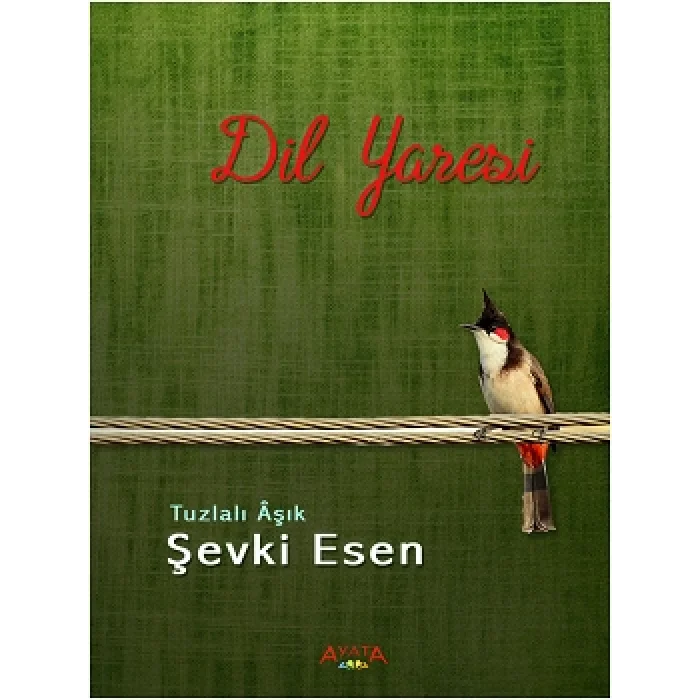 Dil Yaresi