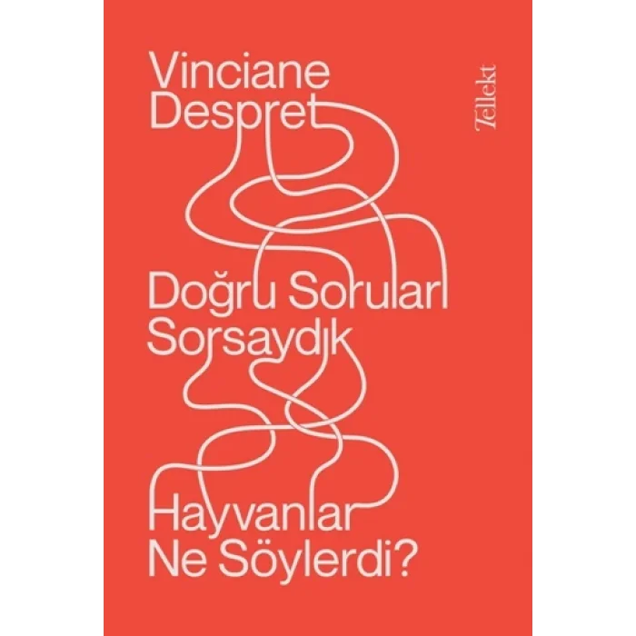 Doğru Soruları Sorsaydık  Hayvanlar Neler Söylerdi?