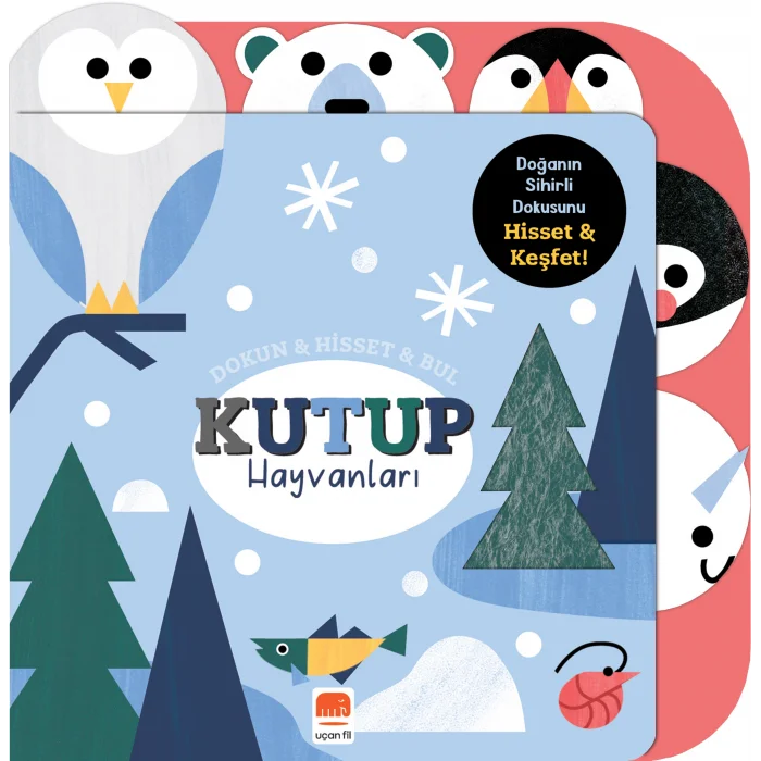 Dokun & Hisset & Bul Kutup Hayvanları  (Boardbook)