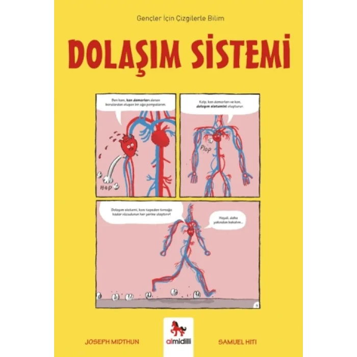 Dolaşım Sistemi - Gençler İçin Çizgilerle Bilim