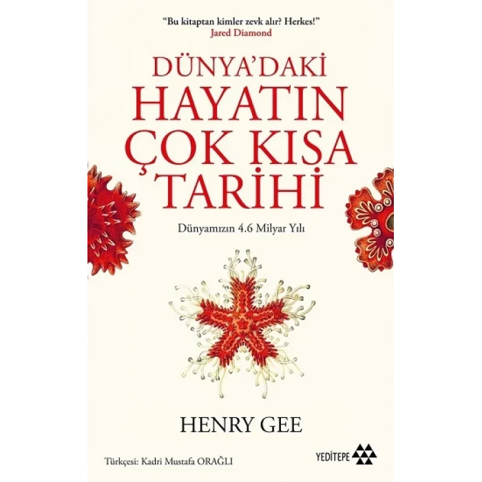 Dünyadaki Hayatın Çok Kısa Tarihi