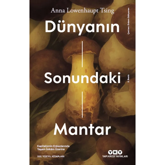 Dünyanın Sonundaki Mantar – Kapitalizmin Enkazlarında Yaşam İmkanı Üzerine