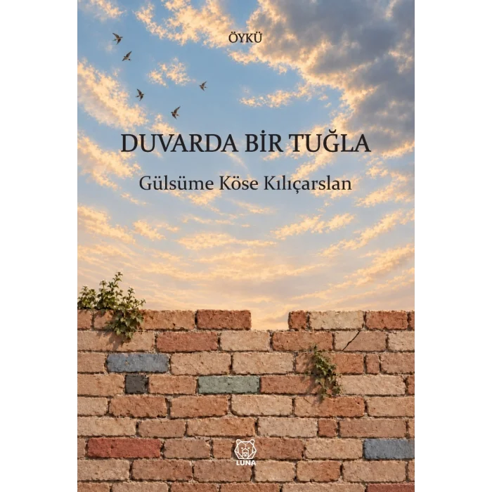 Duvarda Bir Tuğla