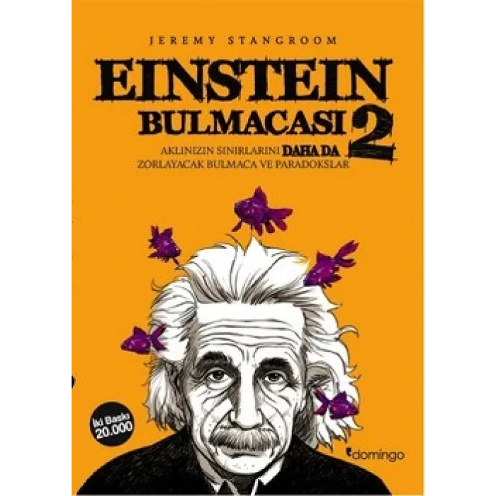 Einstein Bulmacası 2