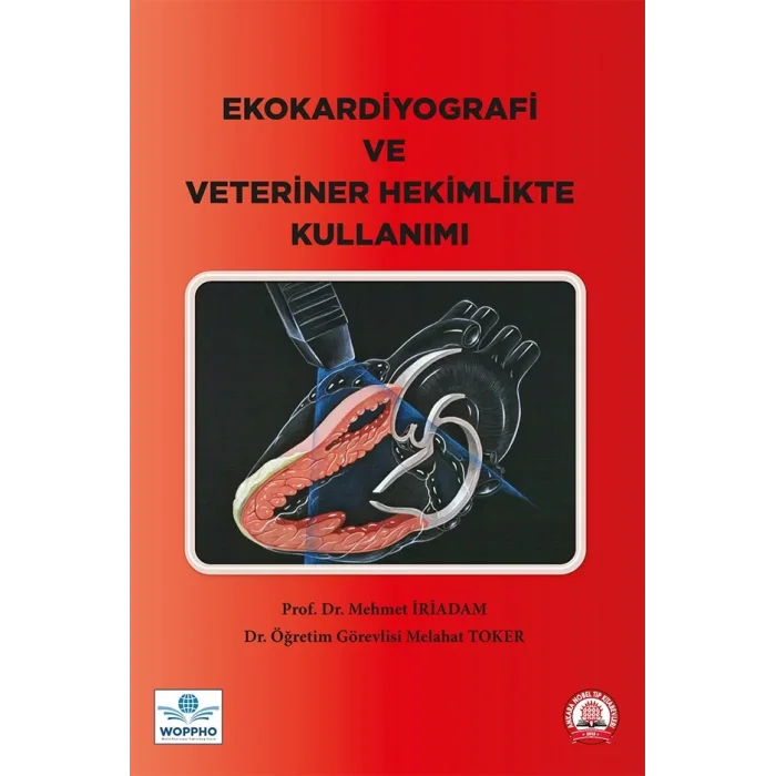 Ekokardiyografi ve Veteriner Hekimlikte Kullanımı
