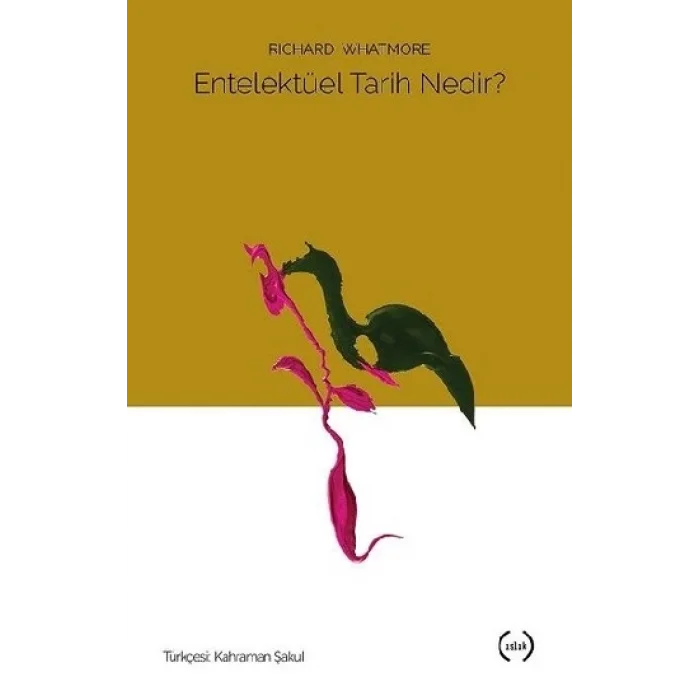 Entelektüel Tarih Nedir?