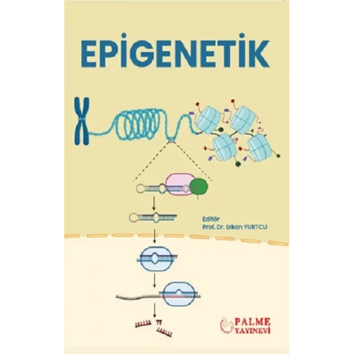 Epigenetik