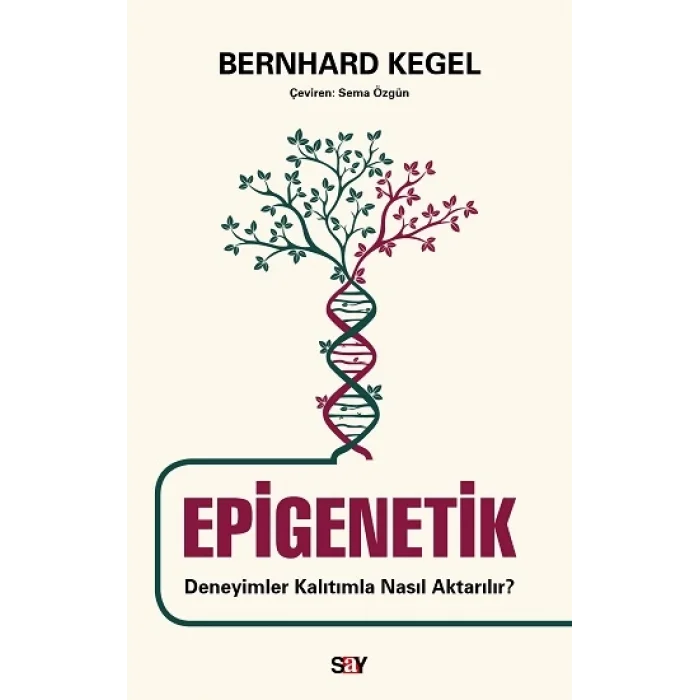 Epigenetik
