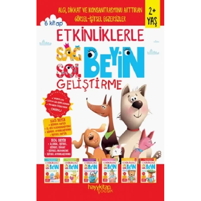 Etkinliklerle Sağ Beyin Sol Beyin Geliştirme (2+ Yaş) 6lı Set
