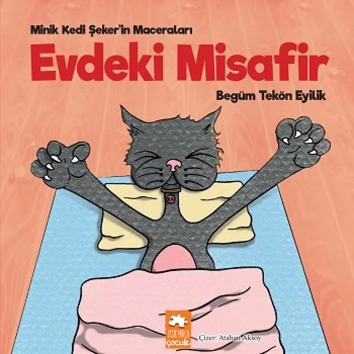 Evdeki Misafir - Minik Kedi Şekerin Maceraları