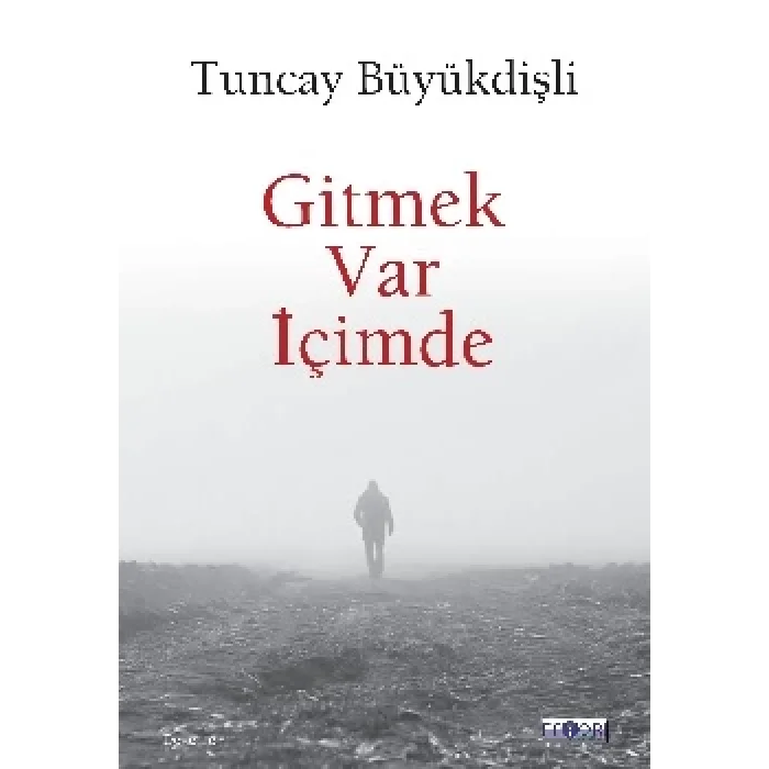 Gitmek Var İçimde