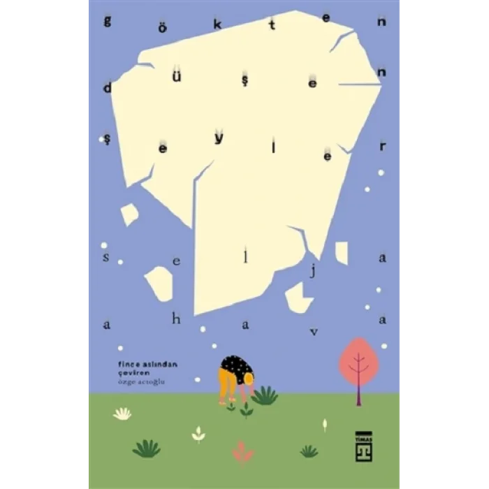 Gökten Düşen Şeyler