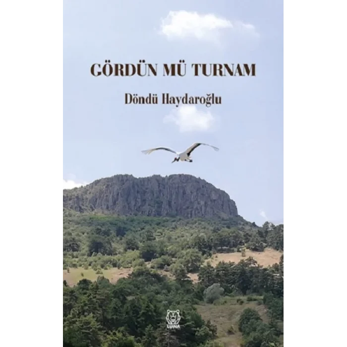 Gördün mü Turnam