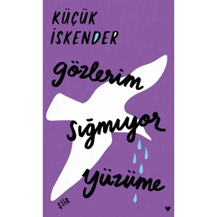 Gözlerim Sığmıyor Yüzüme (Ciltli)