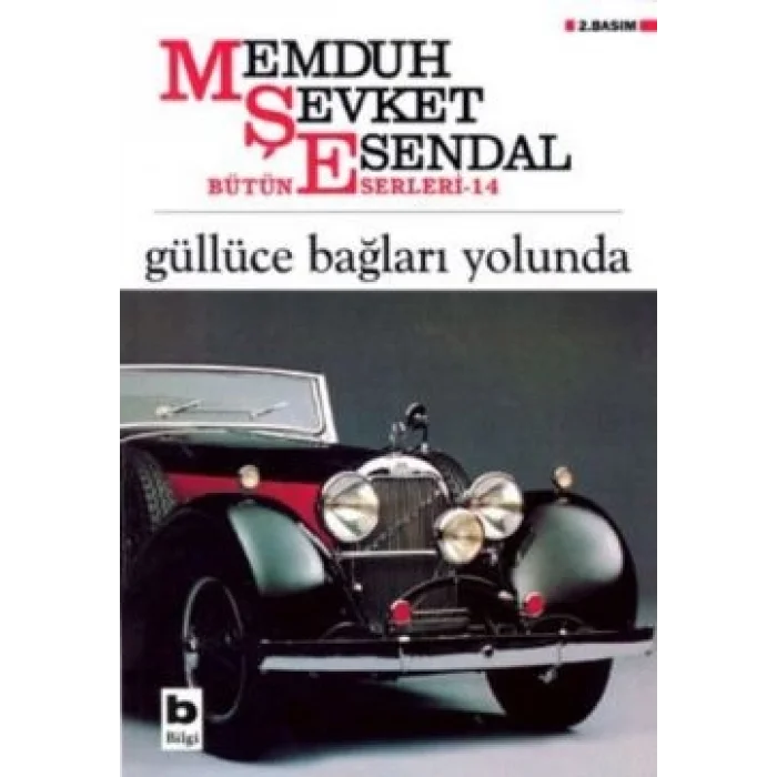 Güllüce Bağları Yolunda