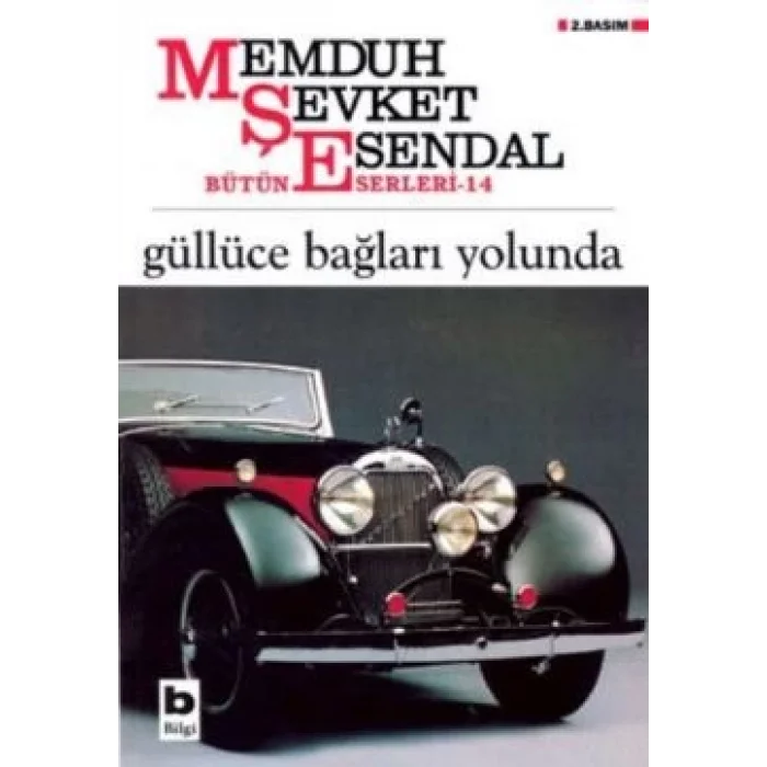 Güllüce Bağları Yolunda