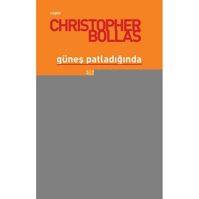 Güneşi Patladığında - Şizofreninin Gizemi