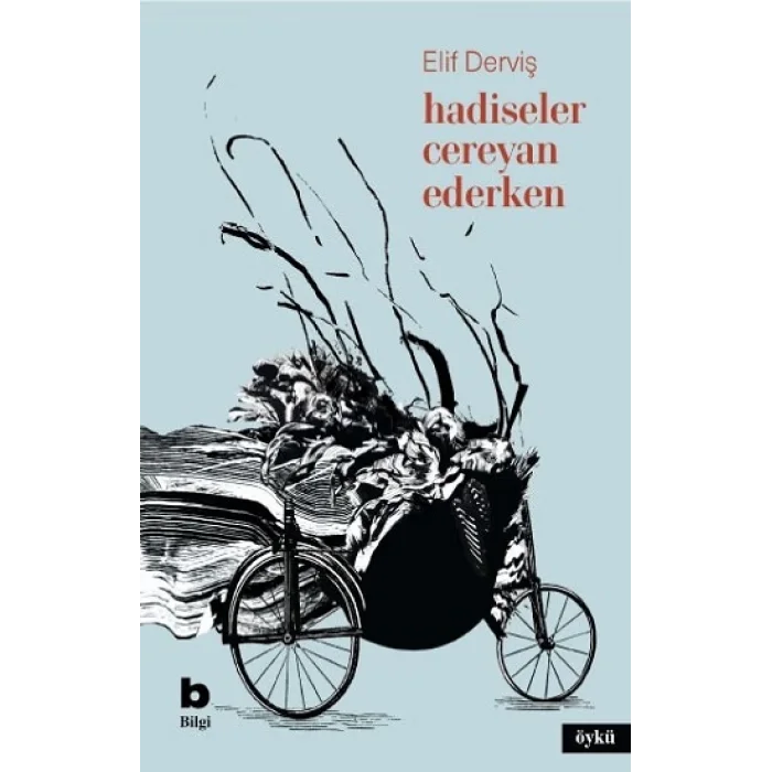 Hadiseler Cereyan Ederken