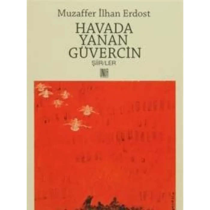 Havada Yanan Güvercin