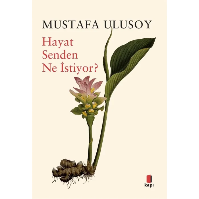 Hayat Senden Ne İstiyor?