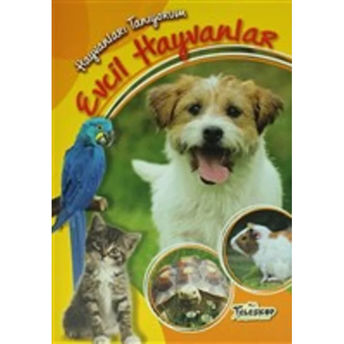 Hayvanları Tanıyorum - Evcil Hayvanlar