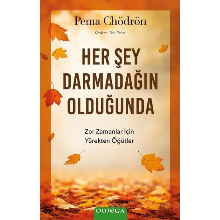 Her Şey Darmadağın Olduğunda;Zor Zamanlar İçin Yürekten Öğütler