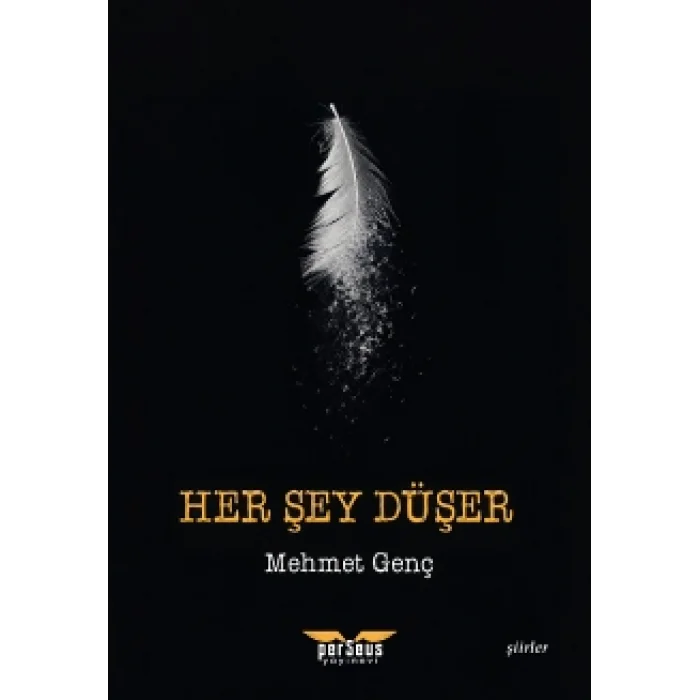 Her Şey Düşer