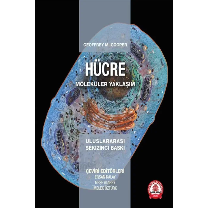 Hücre Moleküler Yaklaşım