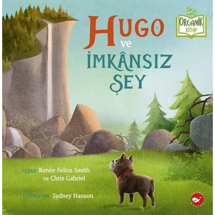 Hugo ve İmkansız Şey