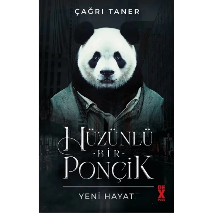 Hüzünlü Bir Ponçik