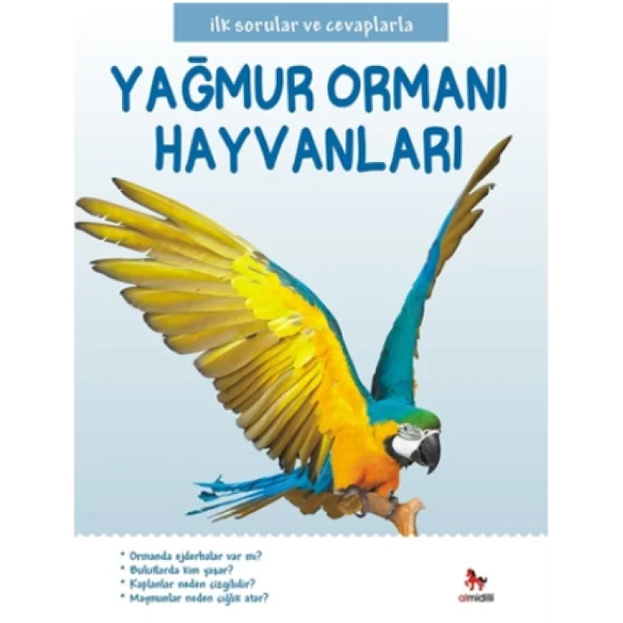 İlk Sorular ve Cevaplarla - Yağmur Ormanı Hayvanları