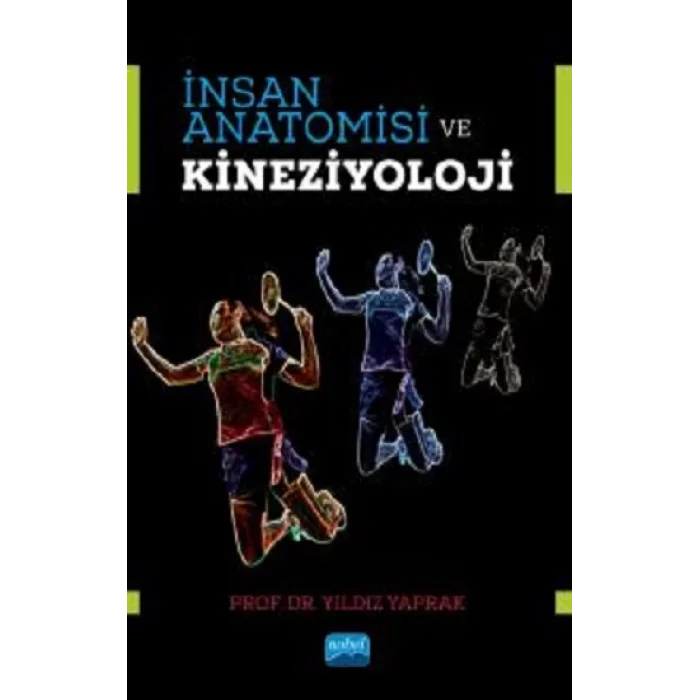 İnsan Anatomisi ve Kineziyoloji