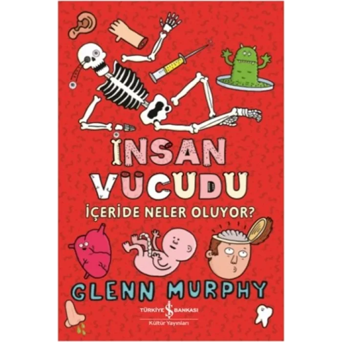 İnsan Vücudu