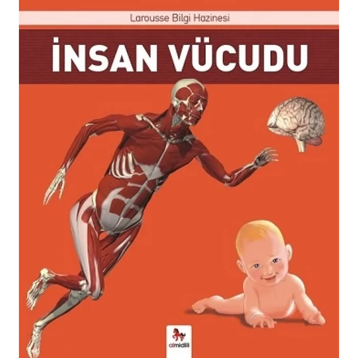 İnsan Vücudu