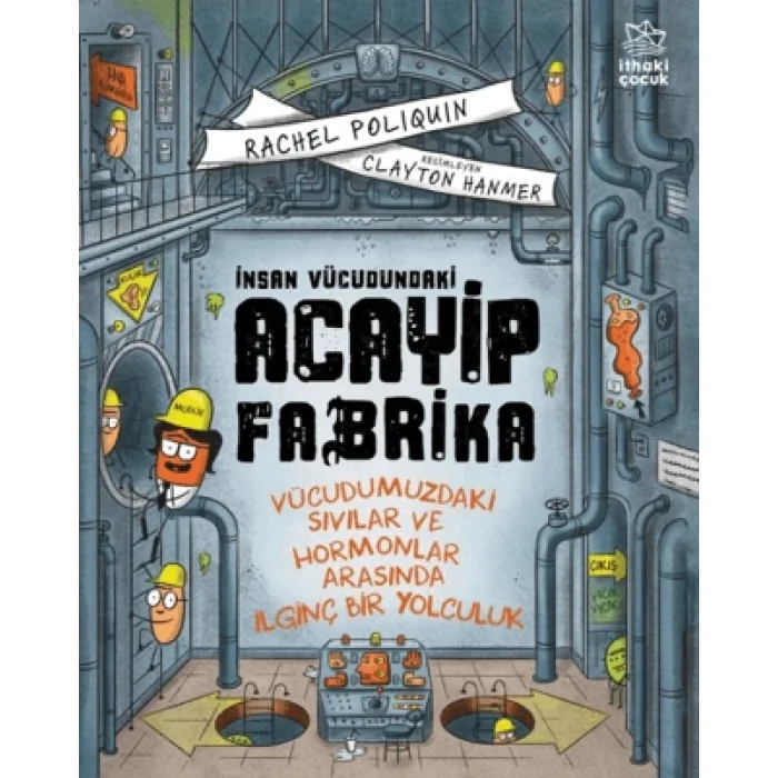 İnsan Vücudundaki Acayip Fabrika