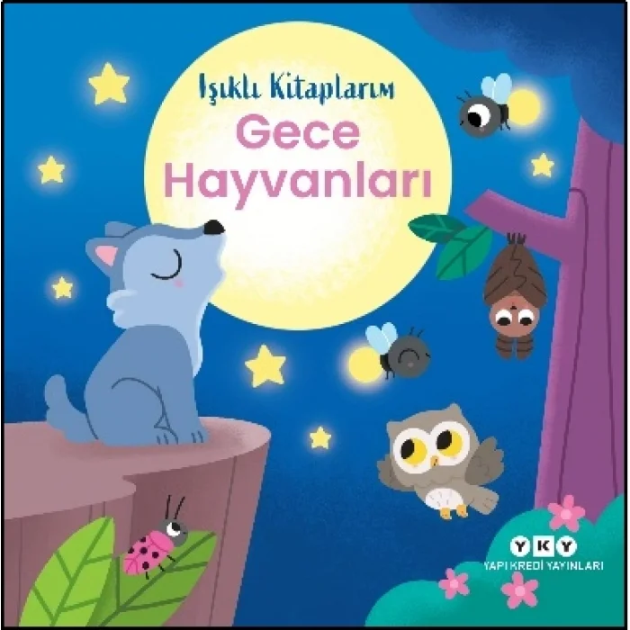 Işıklı Kitaplarım: Gece Hayvanları