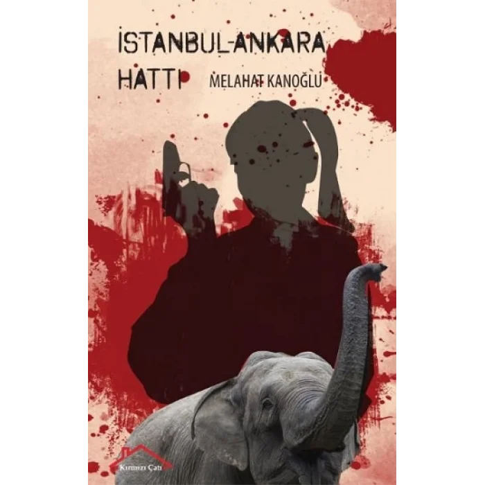 İstanbul - Ankara Hattı