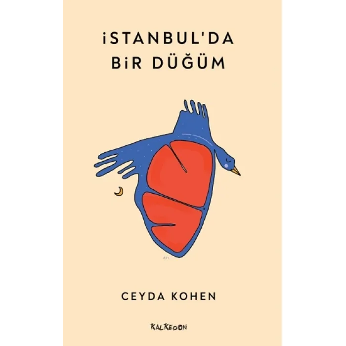 İstanbulda Bir Düğüm