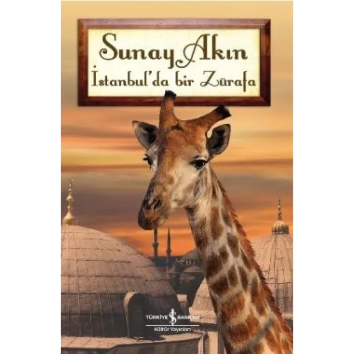 İstanbulda Bir Zürafa