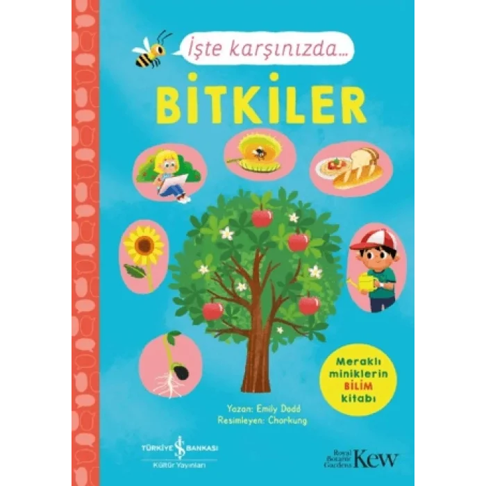 İşte Karşınızda...Bitkiler