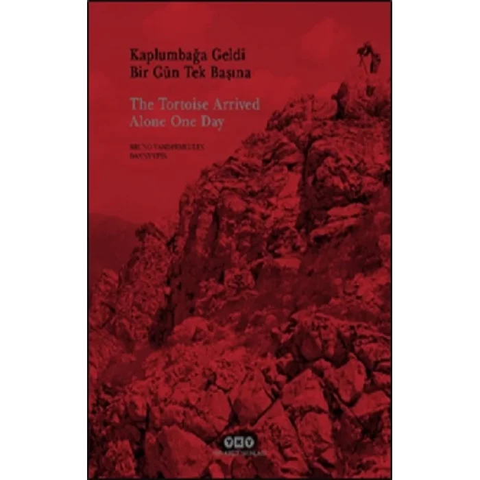 Kaplumbağa Geldi Bir Gün Tek Başına - The Tortoise Arrived Alone One Day