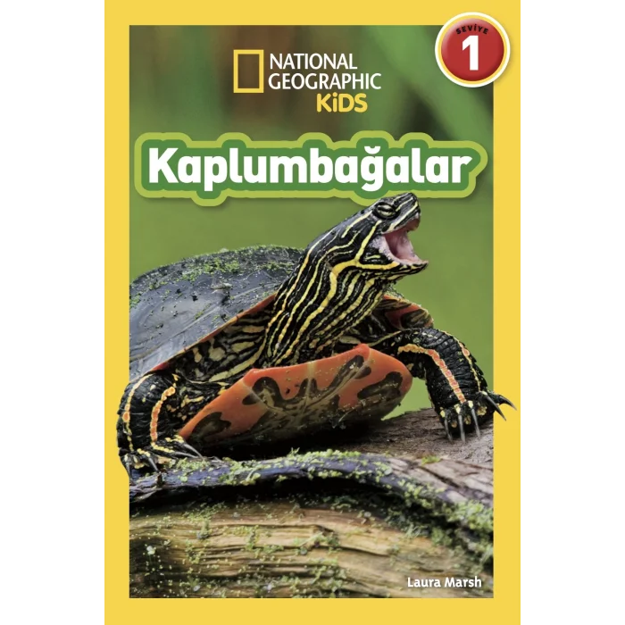 Kaplumbağalar - National Geographic Kids