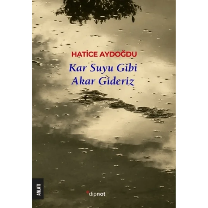 Kar Suyu Gibi Akar Gideriz