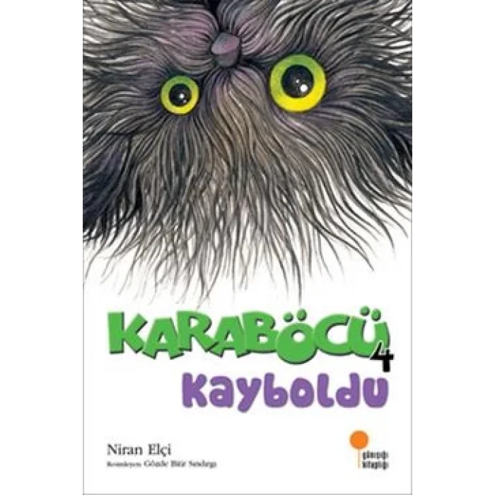 Karaböcü - Karaböcü Kayboldu