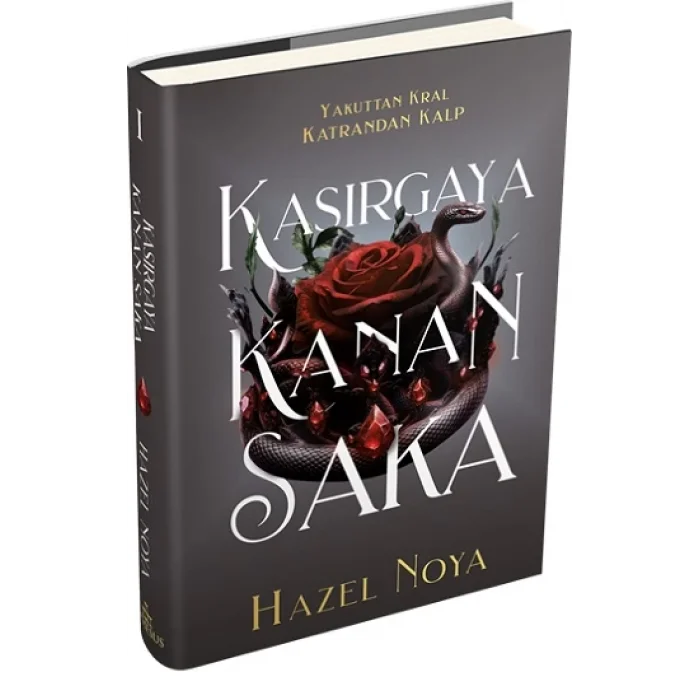 Kasırgaya Kanan Saka 1 (Ciltli)