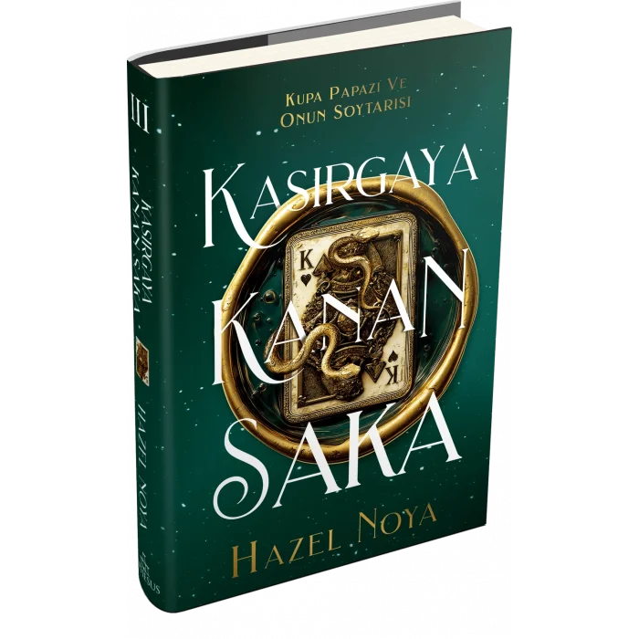 Kasırgaya Kanan Saka 3 - Ciltli