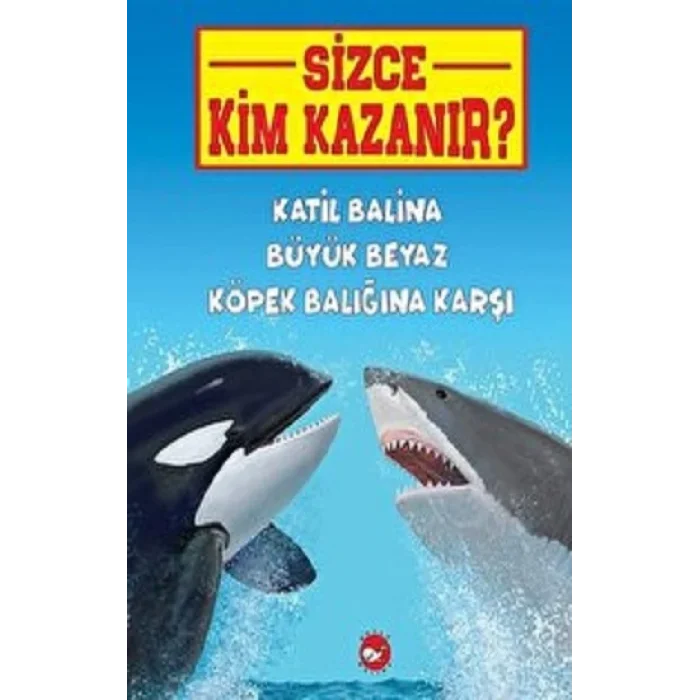 Katil Balina Büyük Beyaz Köpek Balığına Karşı - Sizce Kim Kazanır?